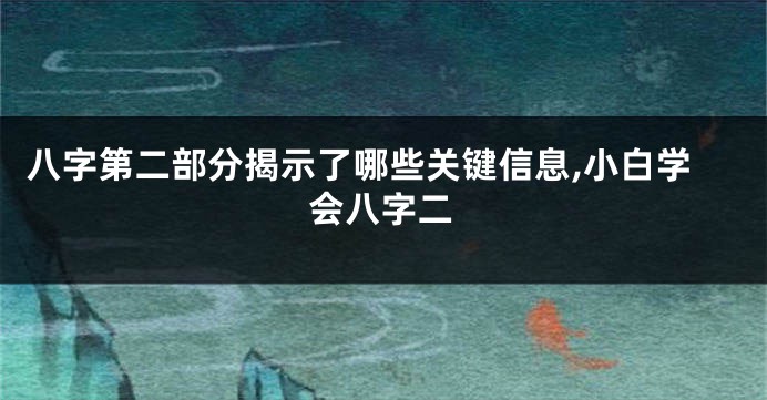 八字第二部分揭示了哪些关键信息,小白学会八字二