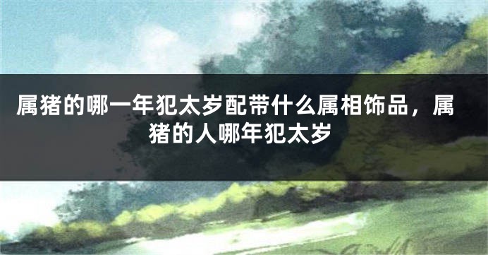 属猪的哪一年犯太岁配带什么属相饰品，属猪的人哪年犯太岁
