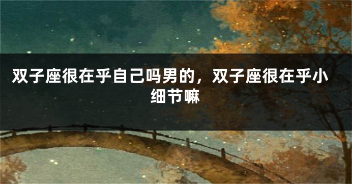 双子座很在乎自己吗男的，双子座很在乎小细节嘛