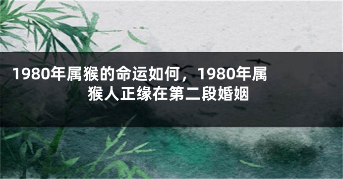 1980年属猴的命运如何，1980年属猴人正缘在第二段婚姻
