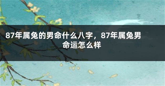 87年属兔的男命什么八字，87年属兔男命运怎么样