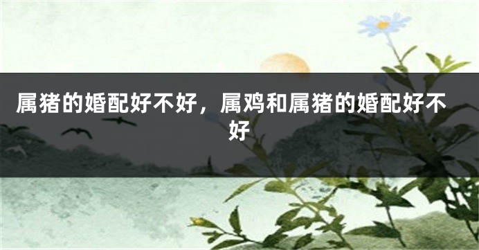 属猪的婚配好不好，属鸡和属猪的婚配好不好
