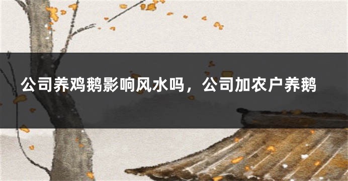 公司养鸡鹅影响风水吗,公司加农户养鹅