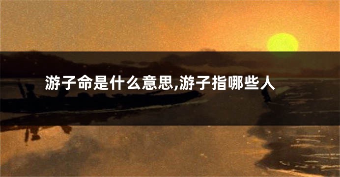 游子命是什么意思,游子指哪些人