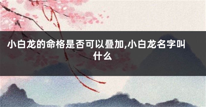 小白龙的命格是否可以叠加,小白龙名字叫什么