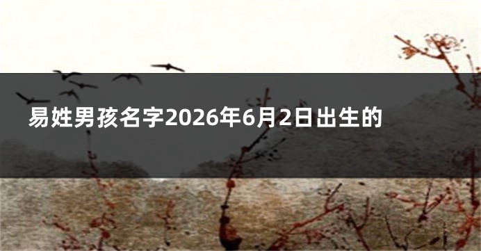 易姓男孩名字2026年6月2日出生的