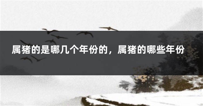 属猪的是哪几个年份的，属猪的哪些年份