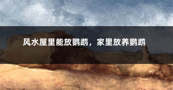 风水屋里能放鹦鹉，家里放养鹦鹉