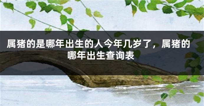 属猪的是哪年出生的人今年几岁了，属猪的哪年出生查询表