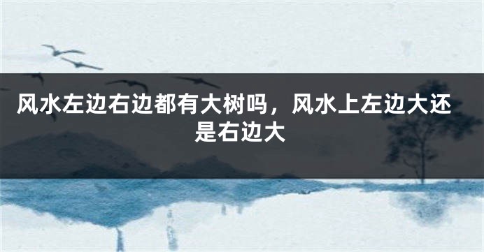 风水左边右边都有大树吗,风水上左边大还是右边大