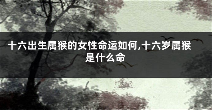 十六出生属猴的女性命运如何,十六岁属猴是什么命