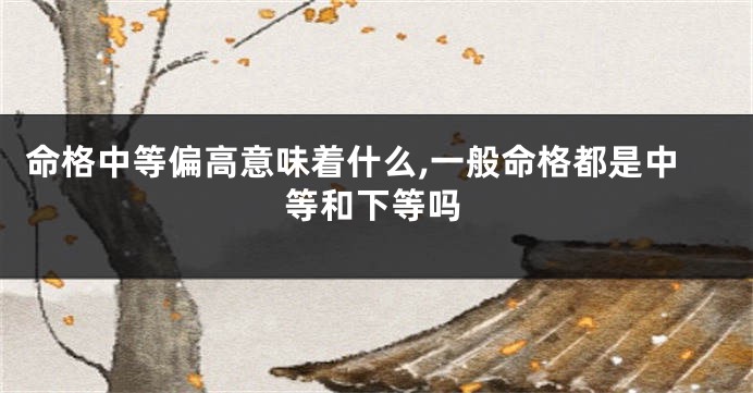 命格中等偏高意味着什么,一般命格都是中等和下等吗
