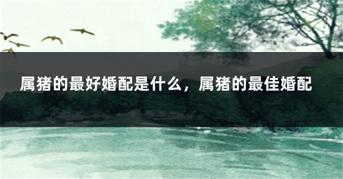 属猪的最好婚配是什么，属猪的最佳婚配