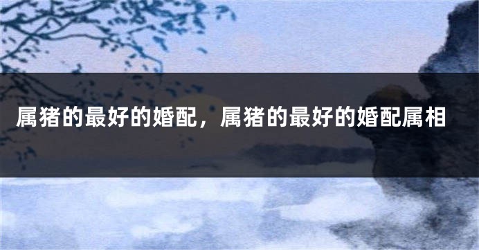 属猪的最好的婚配，属猪的最好的婚配属相