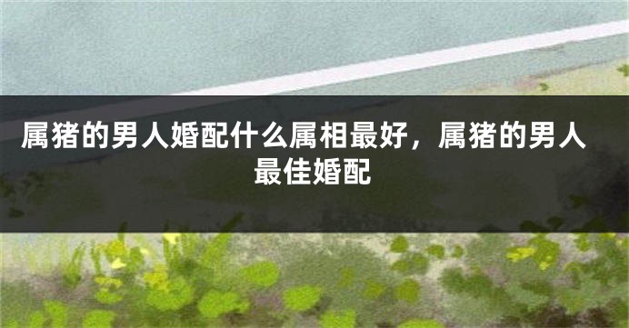 属猪的男人婚配什么属相最好，属猪的男人最佳婚配