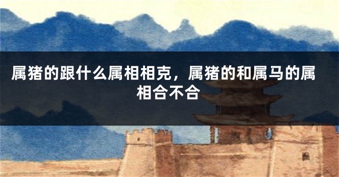 属猪的跟什么属相相克,属猪的和属马的属相合不合