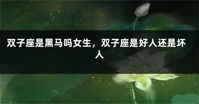 双子座是黑马吗女生,双子座是好人还是坏人