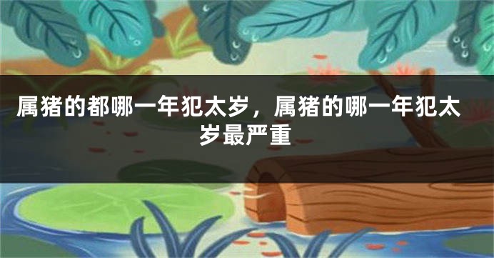 属猪的都哪一年犯太岁，属猪的哪一年犯太岁最严重