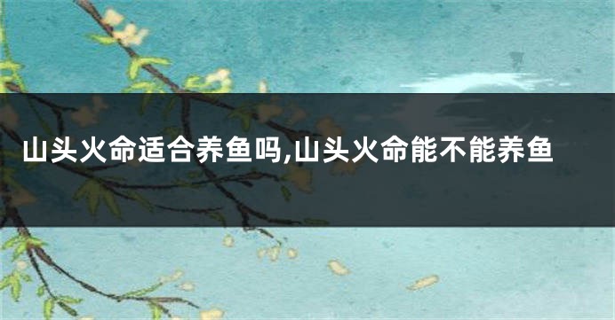 山头火命适合养鱼吗,山头火命能不能养鱼