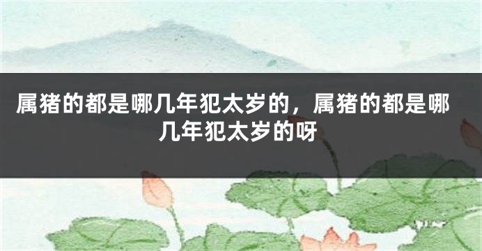 属猪的都是哪几年犯太岁的，属猪的都是哪几年犯太岁的呀