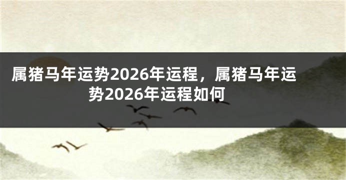 属猪马年运势2026年运程，属猪马年运势2026年运程如何