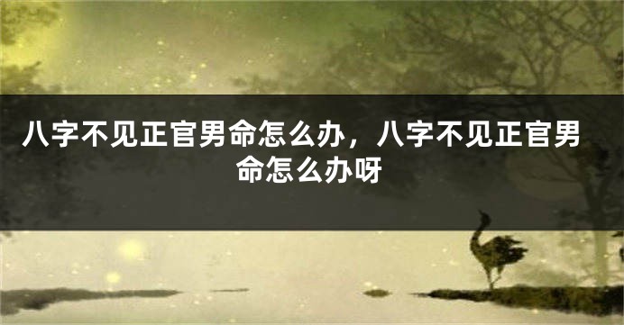八字不见正官男命怎么办，八字不见正官男命怎么办呀