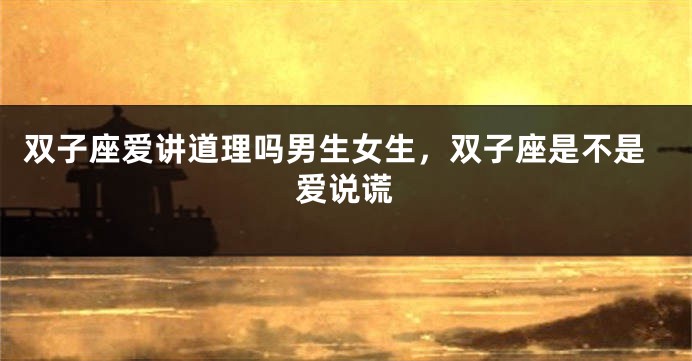 双子座爱讲道理吗男生女生，双子座是不是爱说谎