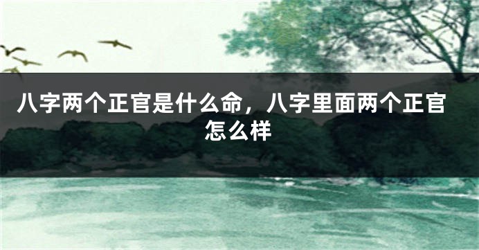 八字两个正官是什么命,八字里面两个正官怎么样