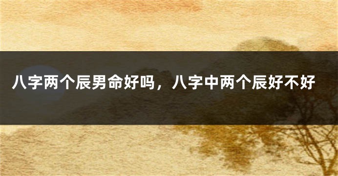 八字两个辰男命好吗,八字中两个辰好不好