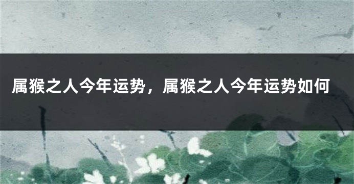 属猴之人今年运势,属猴之人今年运势如何