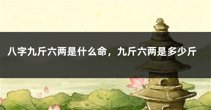 八字九斤六两是什么命，九斤六两是多少斤