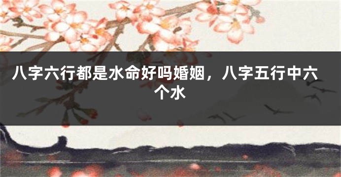 八字六行都是水命好吗婚姻,八字五行中六个水