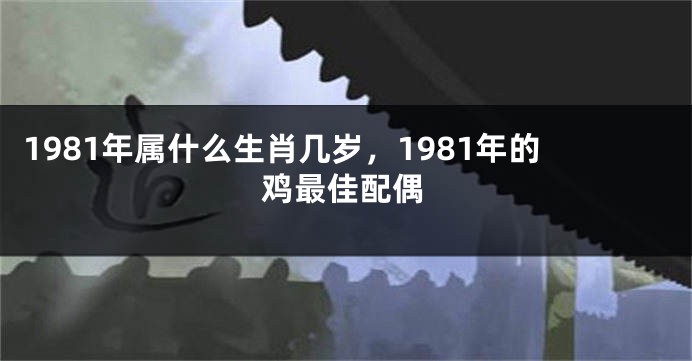 1981年属什么生肖几岁，1981年的鸡最佳配偶