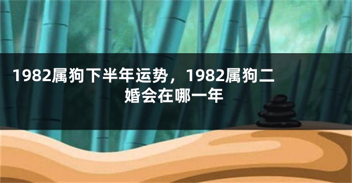 1982属狗下半年运势，1982属狗二婚会在哪一年