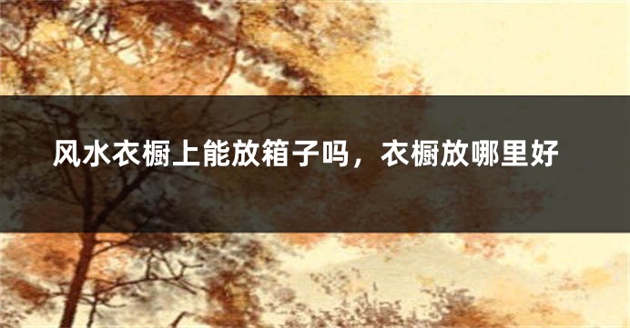 风水衣橱上能放箱子吗，衣橱放哪里好
