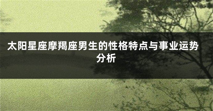 太阳星座摩羯座男生的性格特点与事业运势分析
