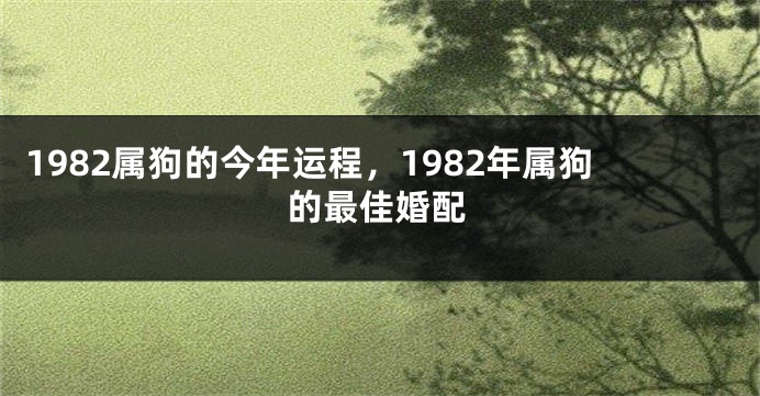 1982属狗的今年运程，1982年属狗的最佳婚配