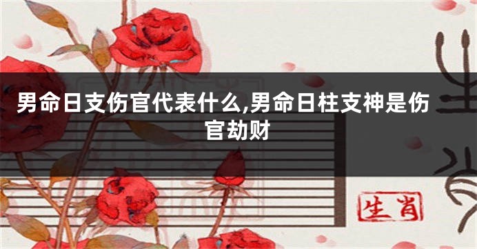 男命日支伤官代表什么,男命日柱支神是伤官劫财