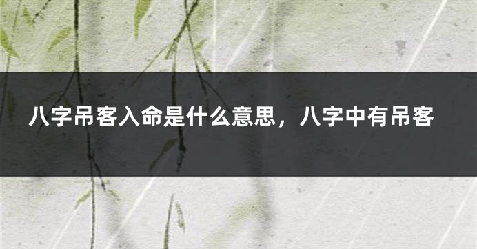 八字吊客入命是什么意思，八字中有吊客