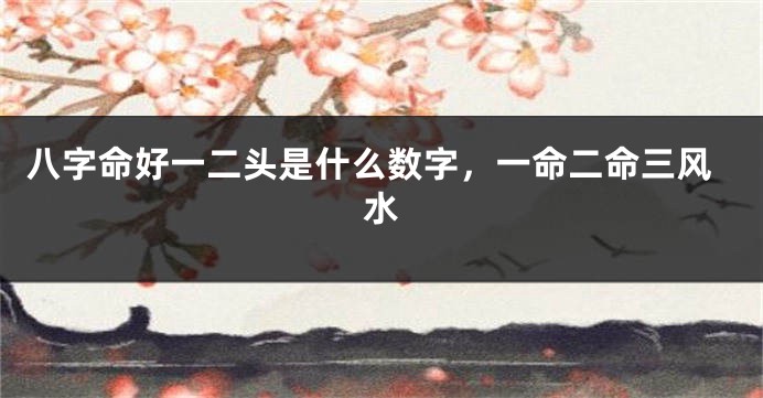 八字命好一二头是什么数字，一命二命三风水