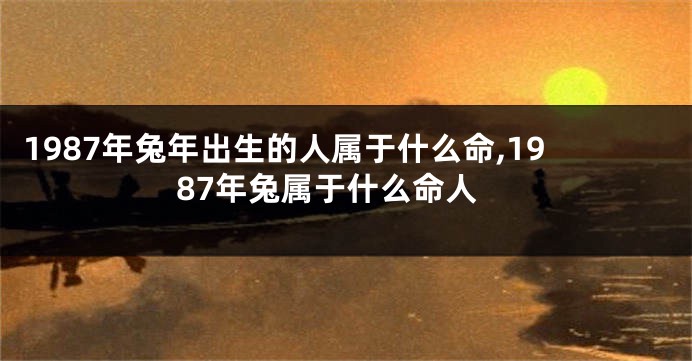 1987年兔年出生的人属于什么命,1987年兔属于什么命人