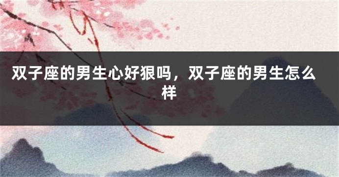 双子座的男生心好狠吗，双子座的男生怎么样