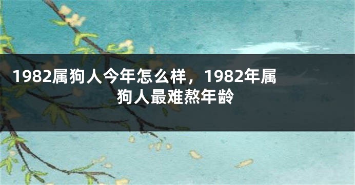 1982属狗人今年怎么样，1982年属狗人最难熬年龄