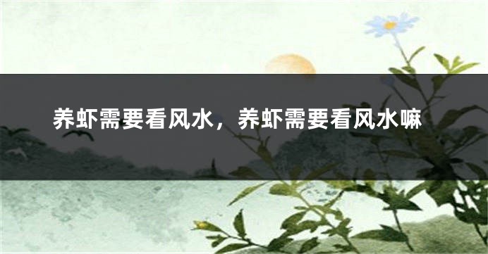 养虾需要看风水,养虾需要看风水嘛