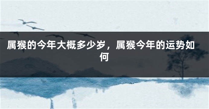 属猴的今年大概多少岁，属猴今年的运势如何
