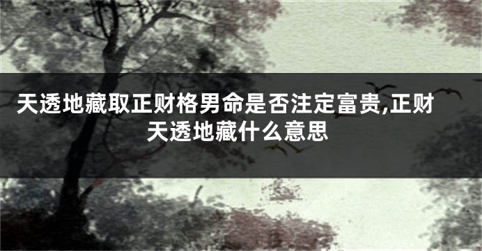 天透地藏取正财格男命是否注定富贵,正财天透地藏什么意思