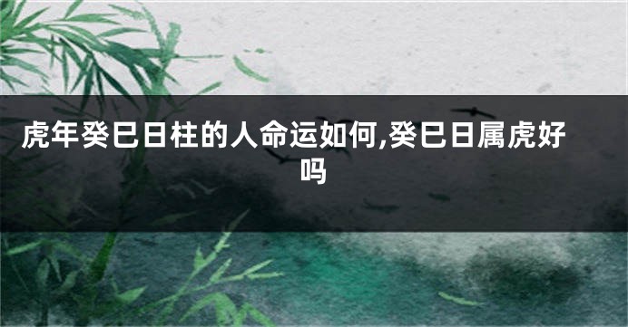 虎年癸巳日柱的人命运如何,癸巳日属虎好吗