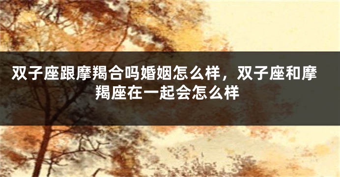 双子座跟摩羯合吗婚姻怎么样，双子座和摩羯座在一起会怎么样