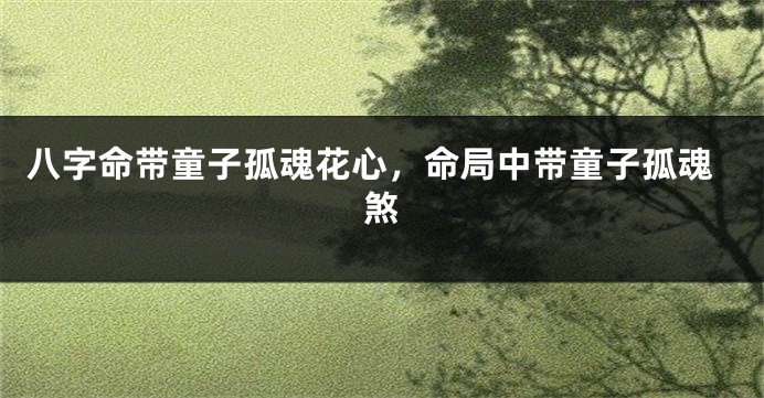八字命带童子孤魂花心，命局中带童子孤魂煞