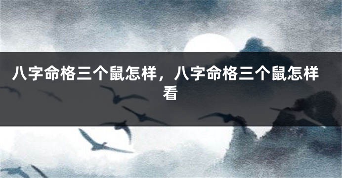 八字命格三个鼠怎样，八字命格三个鼠怎样看
